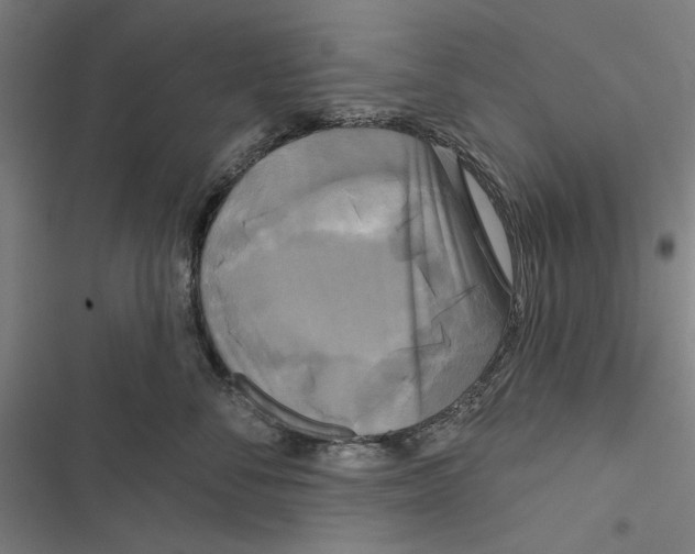 X0000116850716201001191640