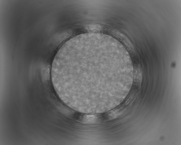 X0000116850717201001191640