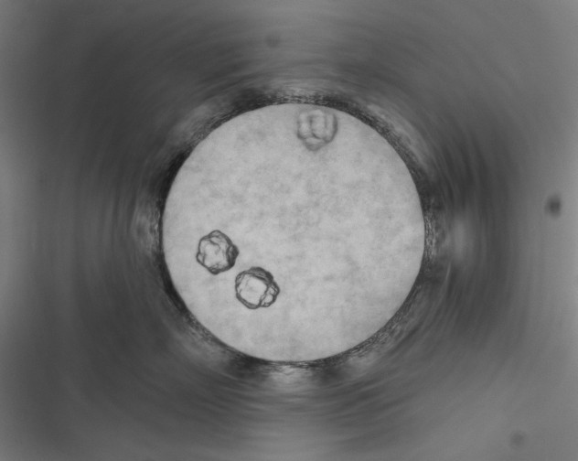 X0000116850718201001191640
