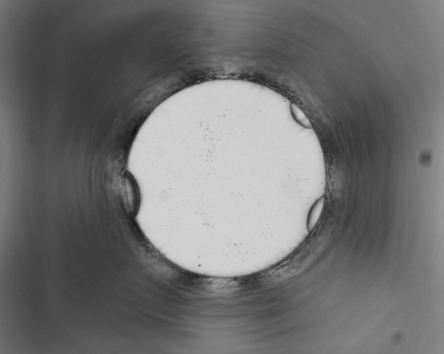 X0000116850719201001191640