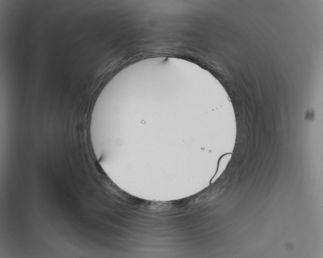 X0000116850720201001191640