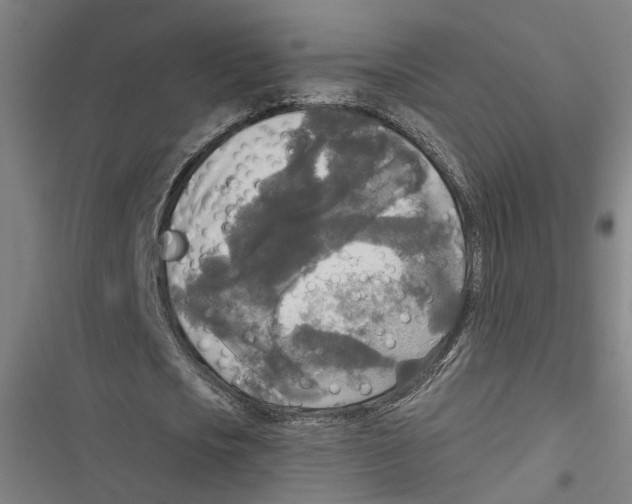 X0000116850721201001191640