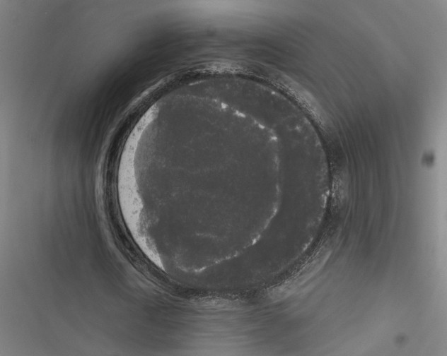 X0000116850722201001191640