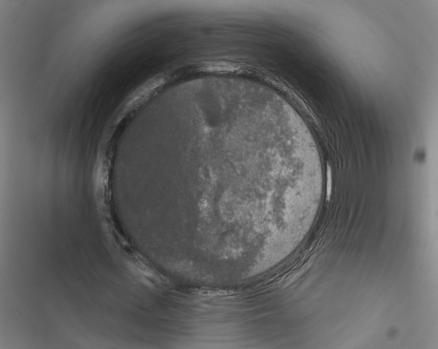 X0000116850723201001191640
