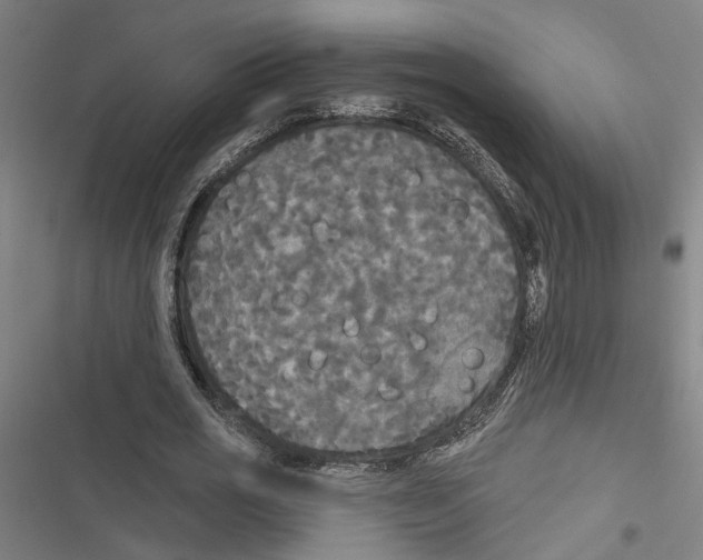 X0000116850725201001191640