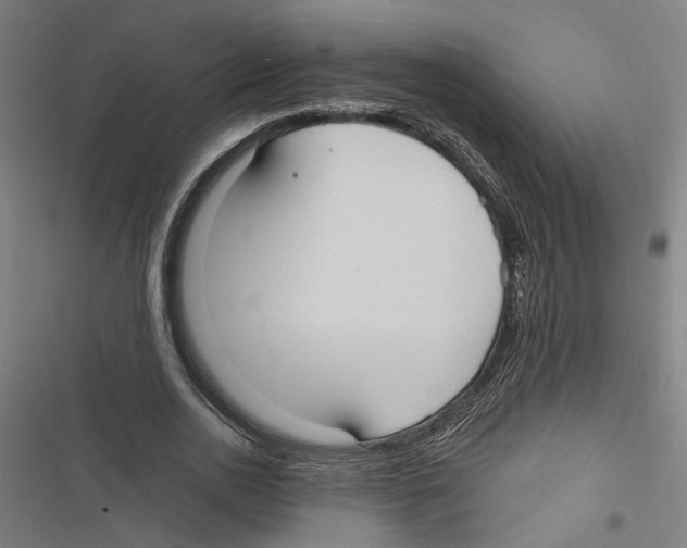 X0000116850726201001191640