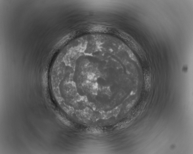 X0000116850729201001191640