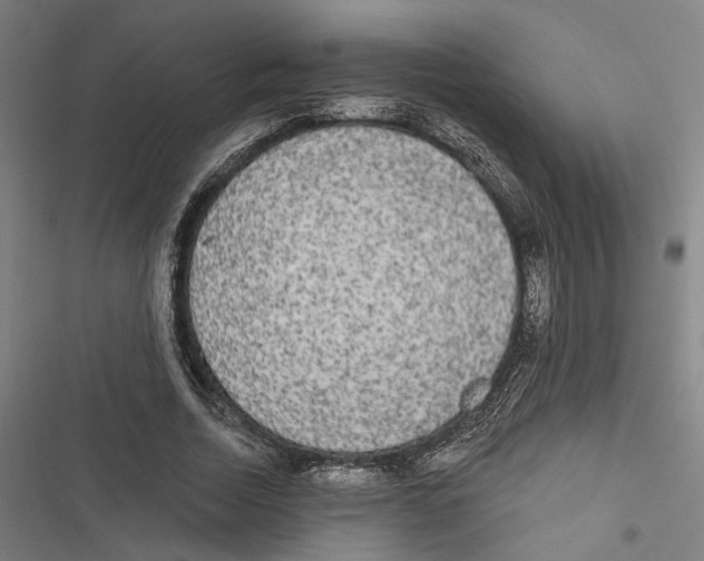 X0000116850730201001191640