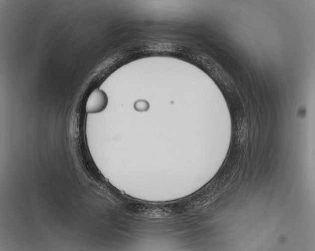X0000116850731201001191640