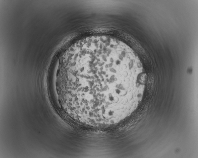 X0000116850734201001191640