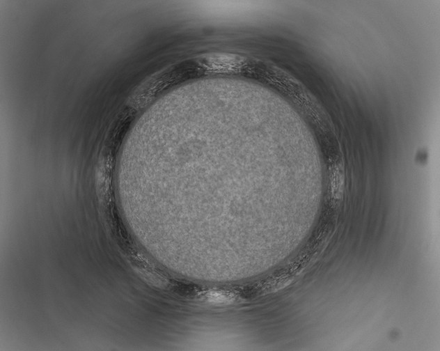 X0000116850737201001191640