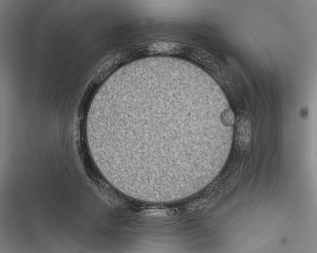 X0000116850738201001191640