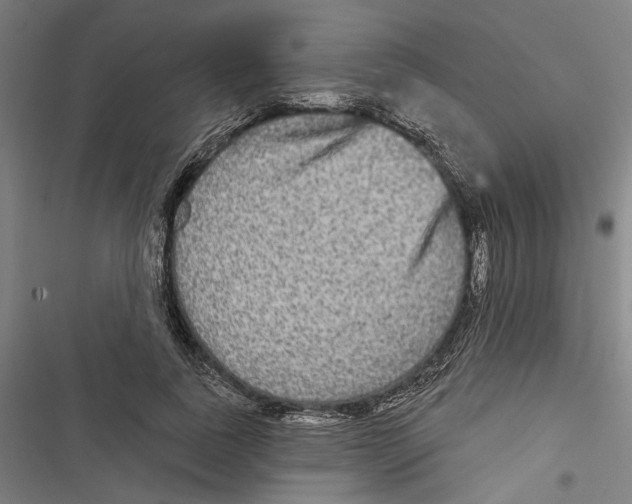 X0000116850739201001191640