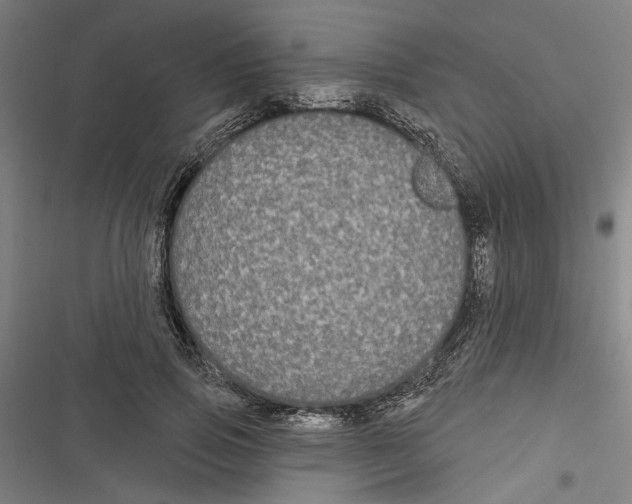 X0000116850741201001191640