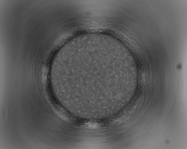 X0000116850742201001191640