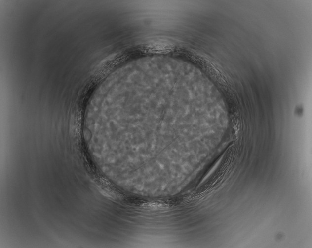 X0000116850745201001191640