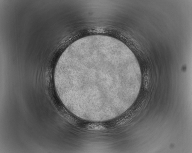 X0000116850747201001191640