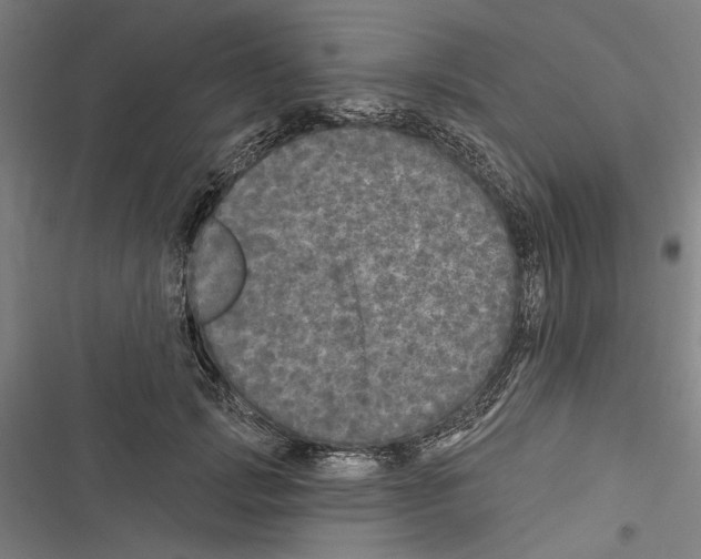 X0000116850749201001191640