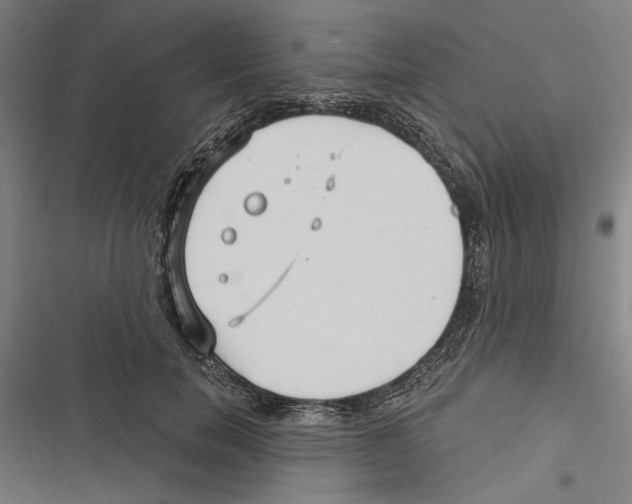 X0000116850750201001191640