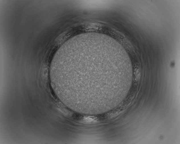 X0000116850753201001191640