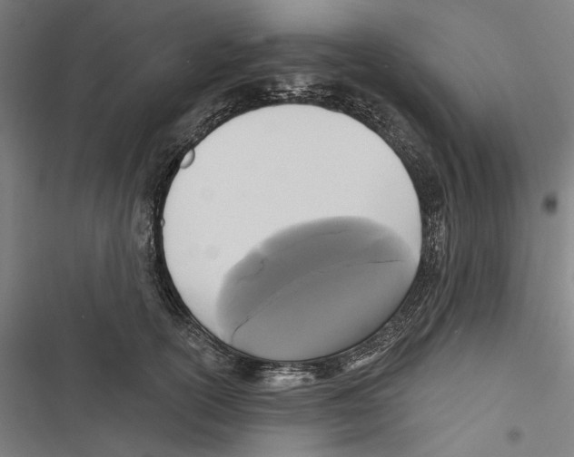 X0000116850754201001191640