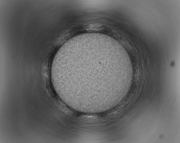 X0000116850755201001191640