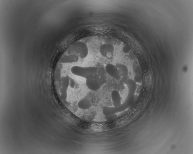 X0000116850757201001191640