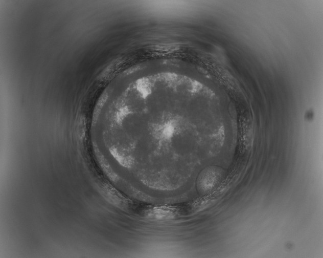 X0000116850758201001191640