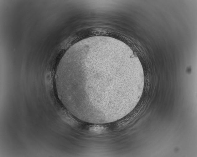 X0000116850759201001191640