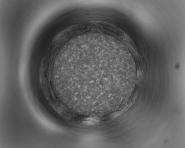 X0000116850765201001191640