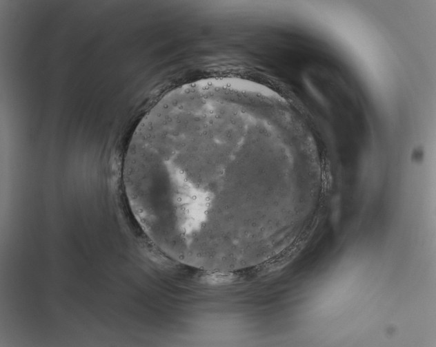 X0000116850767201001191640