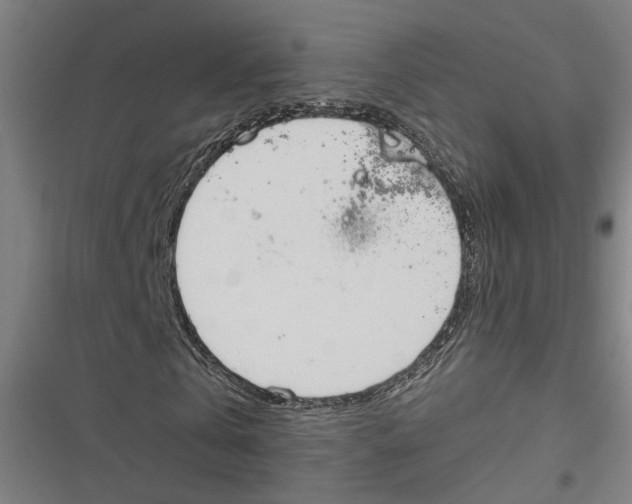 X0000116850769201001191640