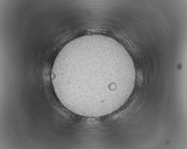 X0000116850770201001191640