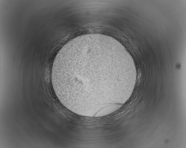 X0000116850772201001191640