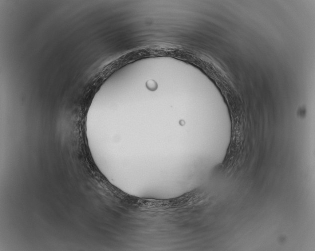 X0000116850773201001191640