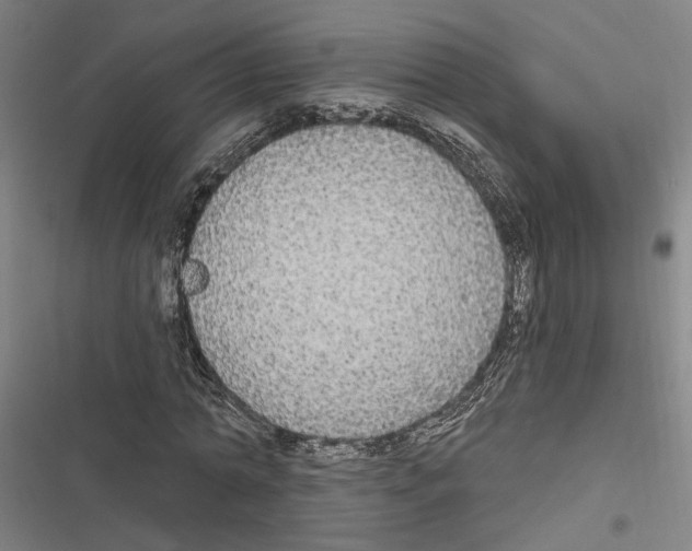 X0000116850774201001191640