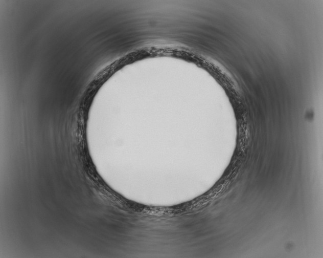 X0000116850775201001191639