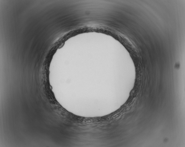 X0000116850776201001191639
