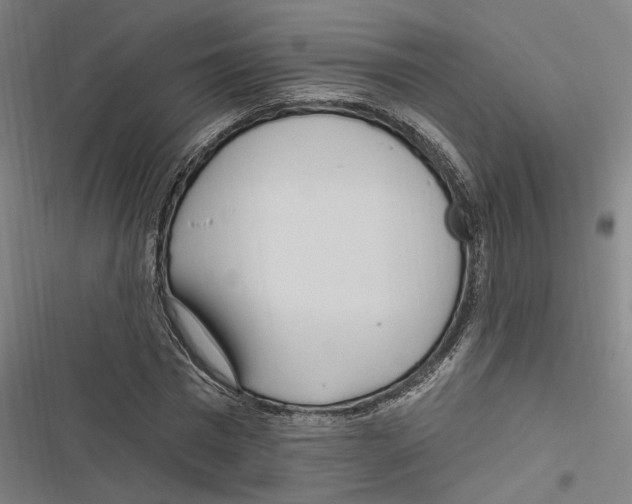 X0000116850777201001191639