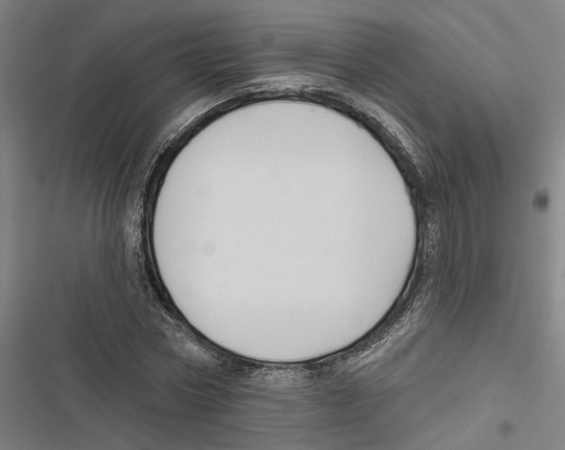 X0000116850778201001191639