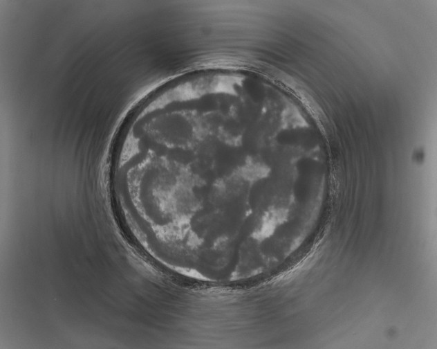 X0000116850779201001191639