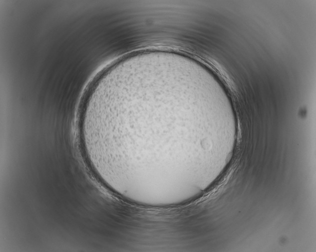 X0000116850780201001191639