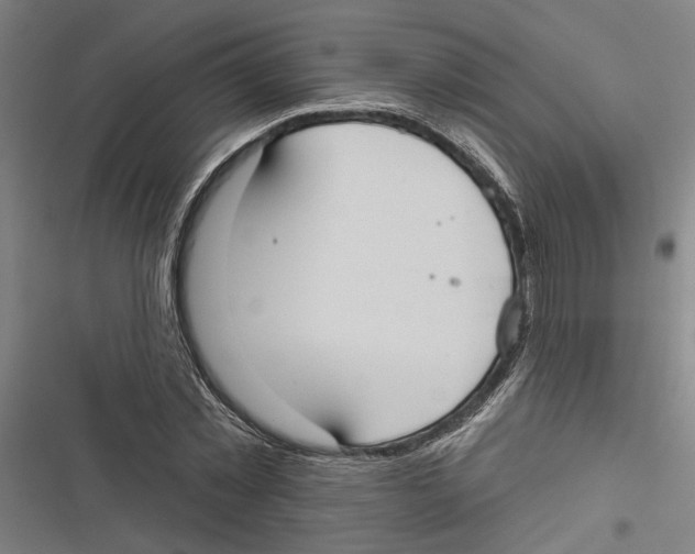 X0000116850781201001191639