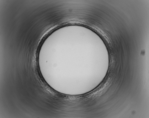 X0000116850782201001191639