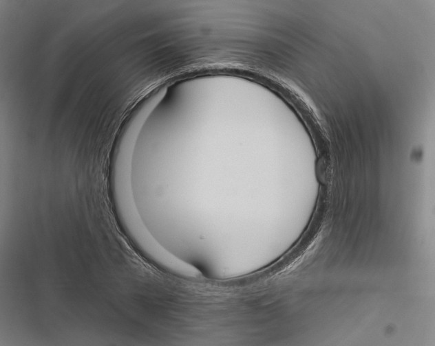 X0000116850785201001191639