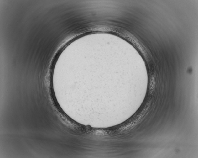 X0000116850787201001191639