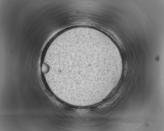 X0000116850788201001191639