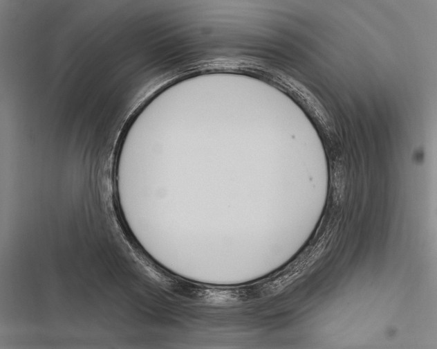 X0000116850794201001191639