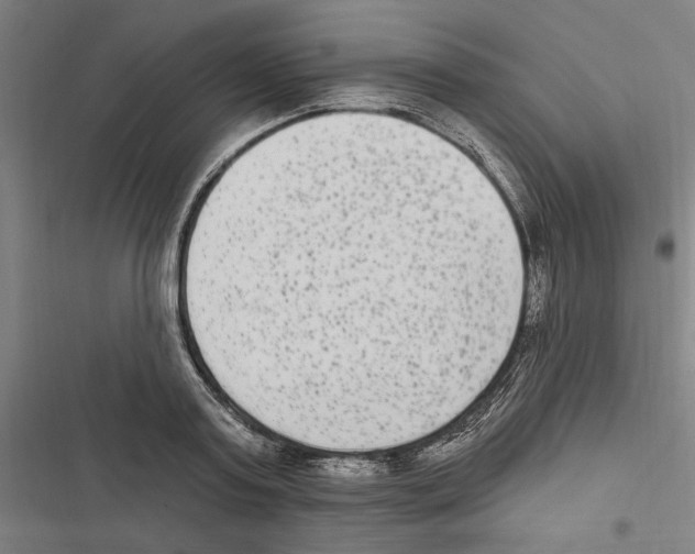 X0000116850795201001191639