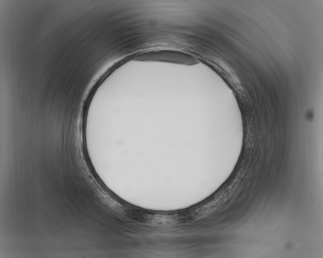 X0000116850796201001191639